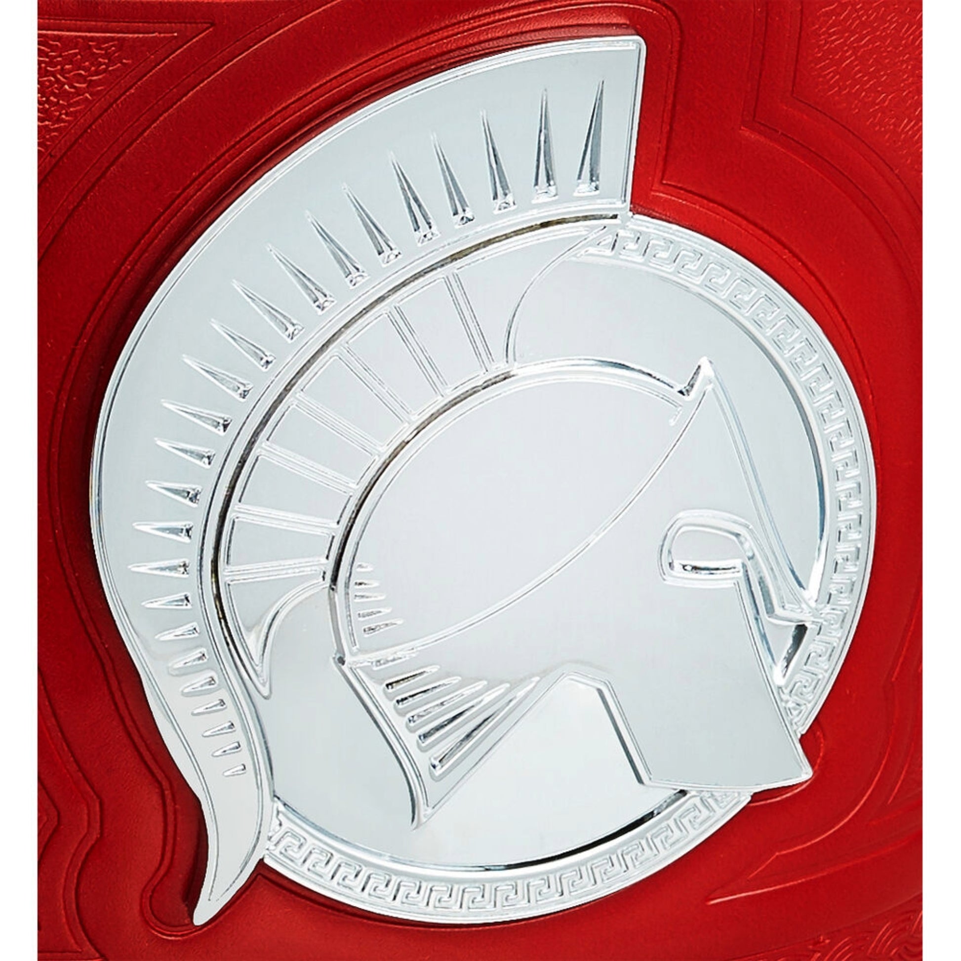 WWE Tag Team Championship World Wide Wrestling Championship Belt