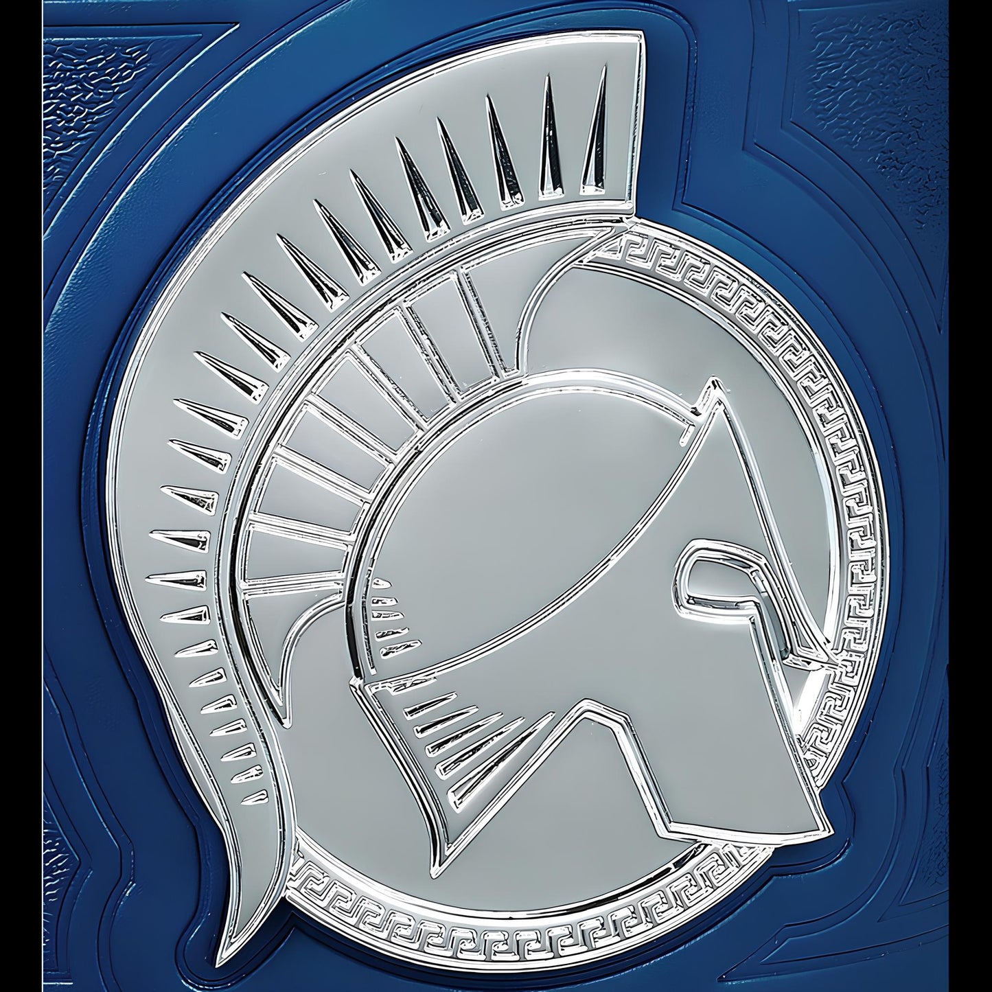 World Wild Wrestling Tag Team WWE Championship Title Belt