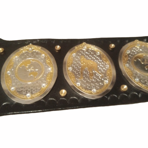 AEW World Women Wrestling Championship Title Belt