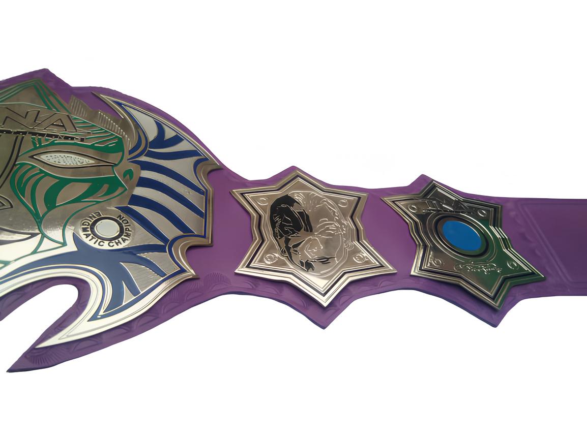 TNA Jeff Hardy Total Nonstop Action Wrestling Championship Belt