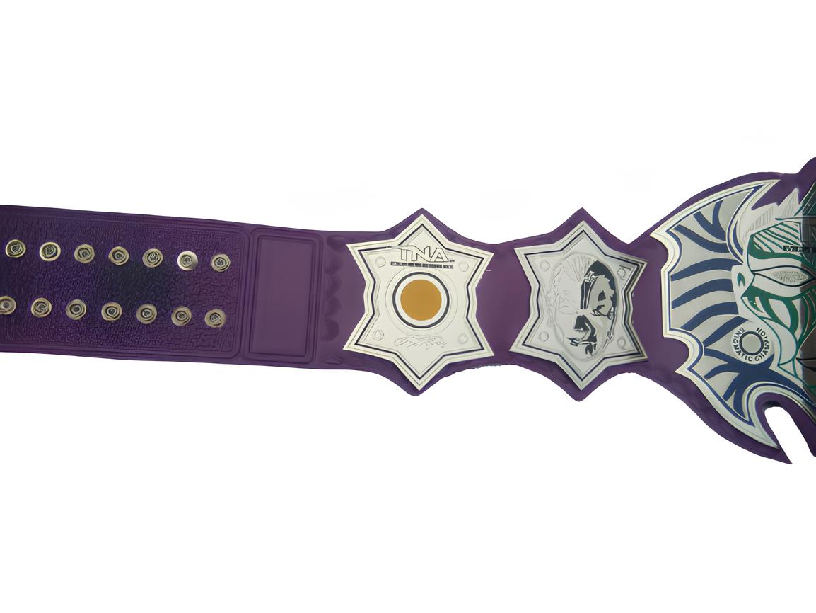 TNA Jeff Hardy Total Nonstop Action Wrestling Championship Belt