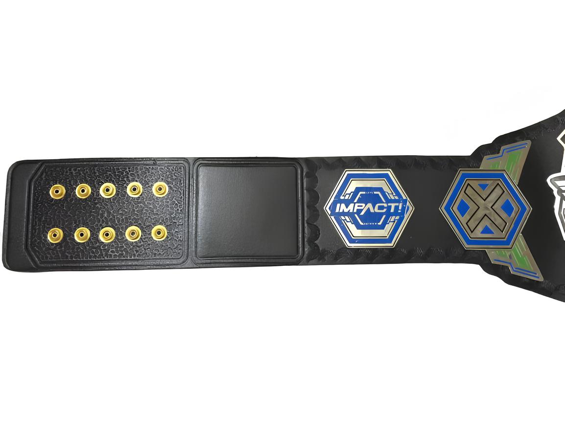 Impact X Division Title Impact World Championship Belt