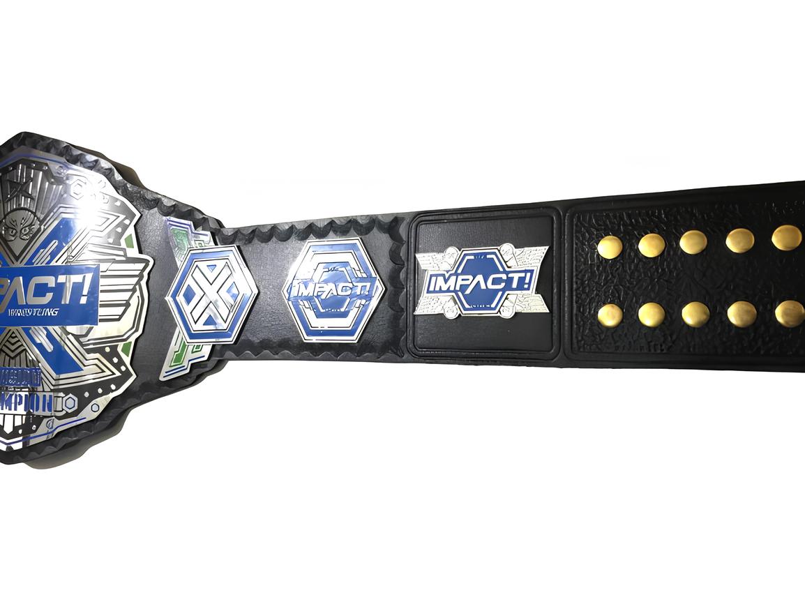 Impact X Division Title Impact World Championship Belt