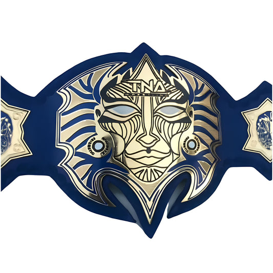 Jeff Hardy The Wrestler Total Nonstop Action TNA World Championship Belt