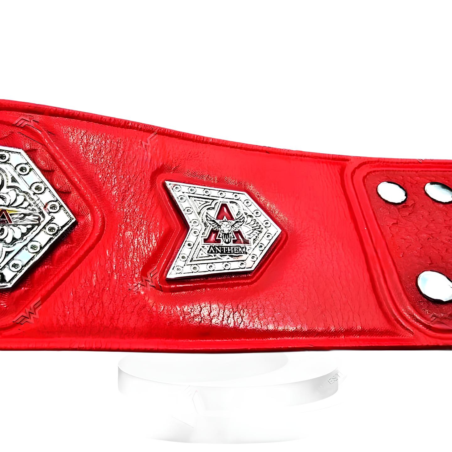 TNAwrestling World Tag Team Title Championship Belt