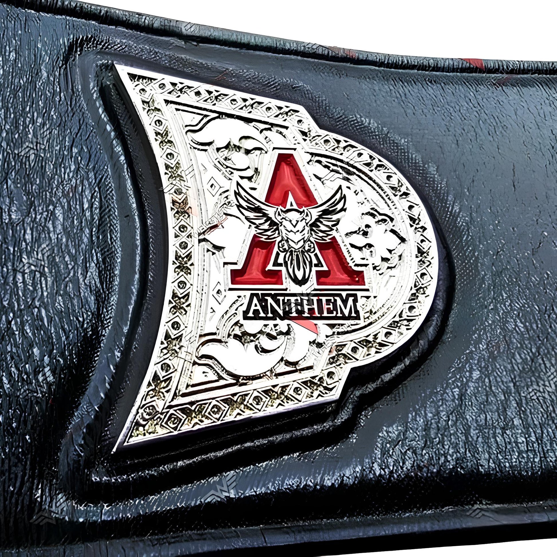 World Wide Wrestling TNAwrestling X Division Championship Belt