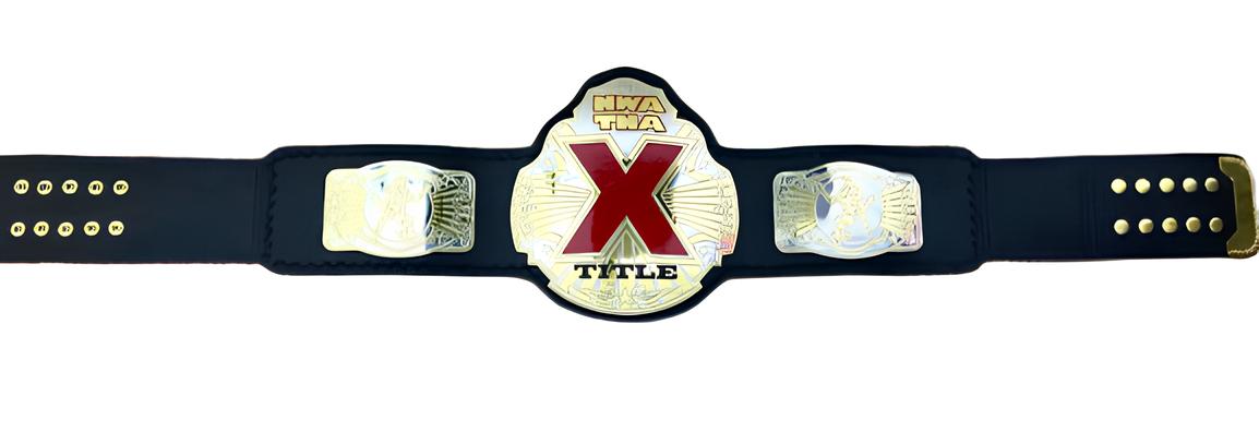 World Wide Wrestling NWA TNA X Division Championship Belt 