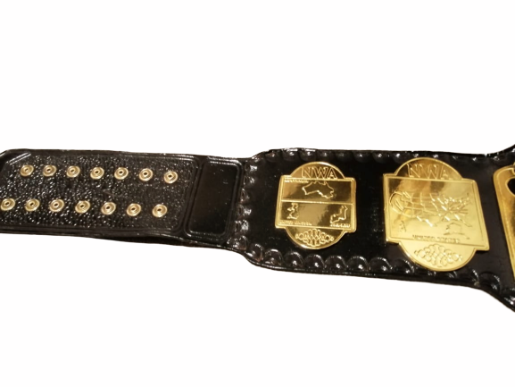 NWA World TAG TEAM Wrestling Championship Title Belt