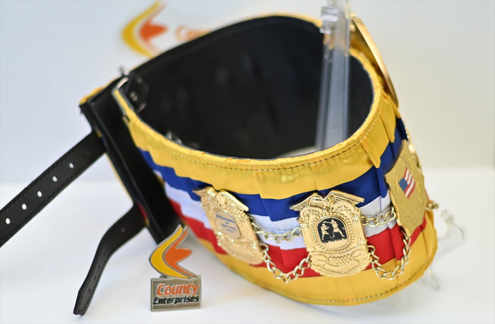 Boxing Blets Ringside RING MAGAZINE BOXING CHAMPIONSHIP BELT – Champions Title Belts